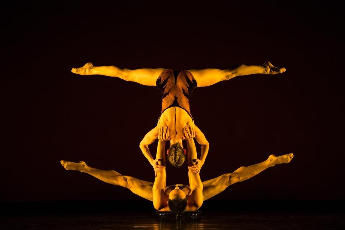 MOMIX brings its production “Opus Cactus” to the Gallo Center.