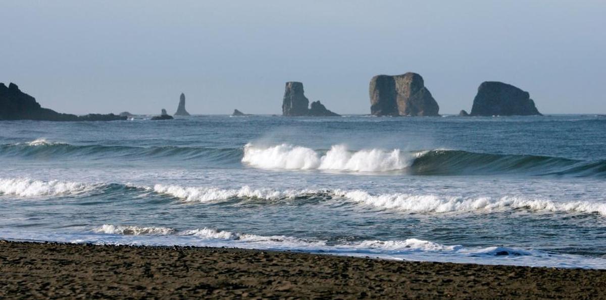A Modesto Area Partners in Science program will focus on the importance of the world’s oceans.