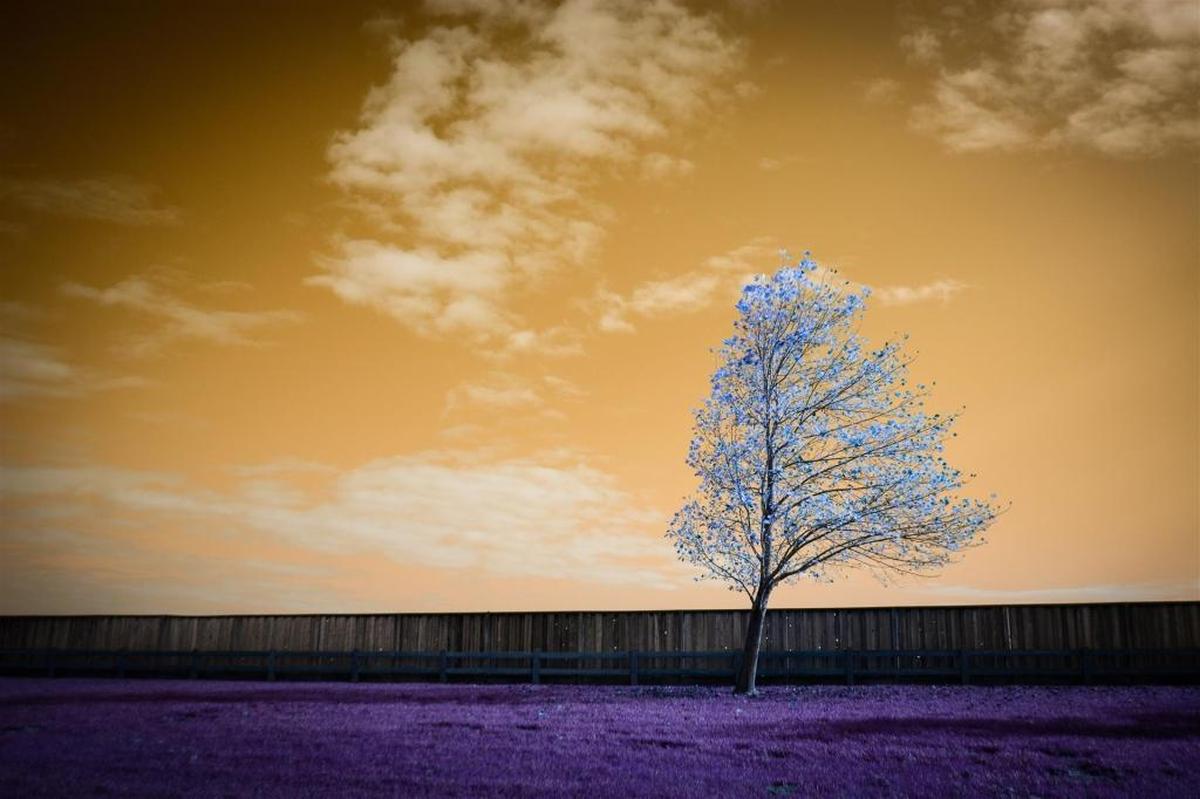 “Vibrant Breeze” by Clayton Gomez is part of the Valley Focus exhibit at the Carnegie Arts Center in Turlock.