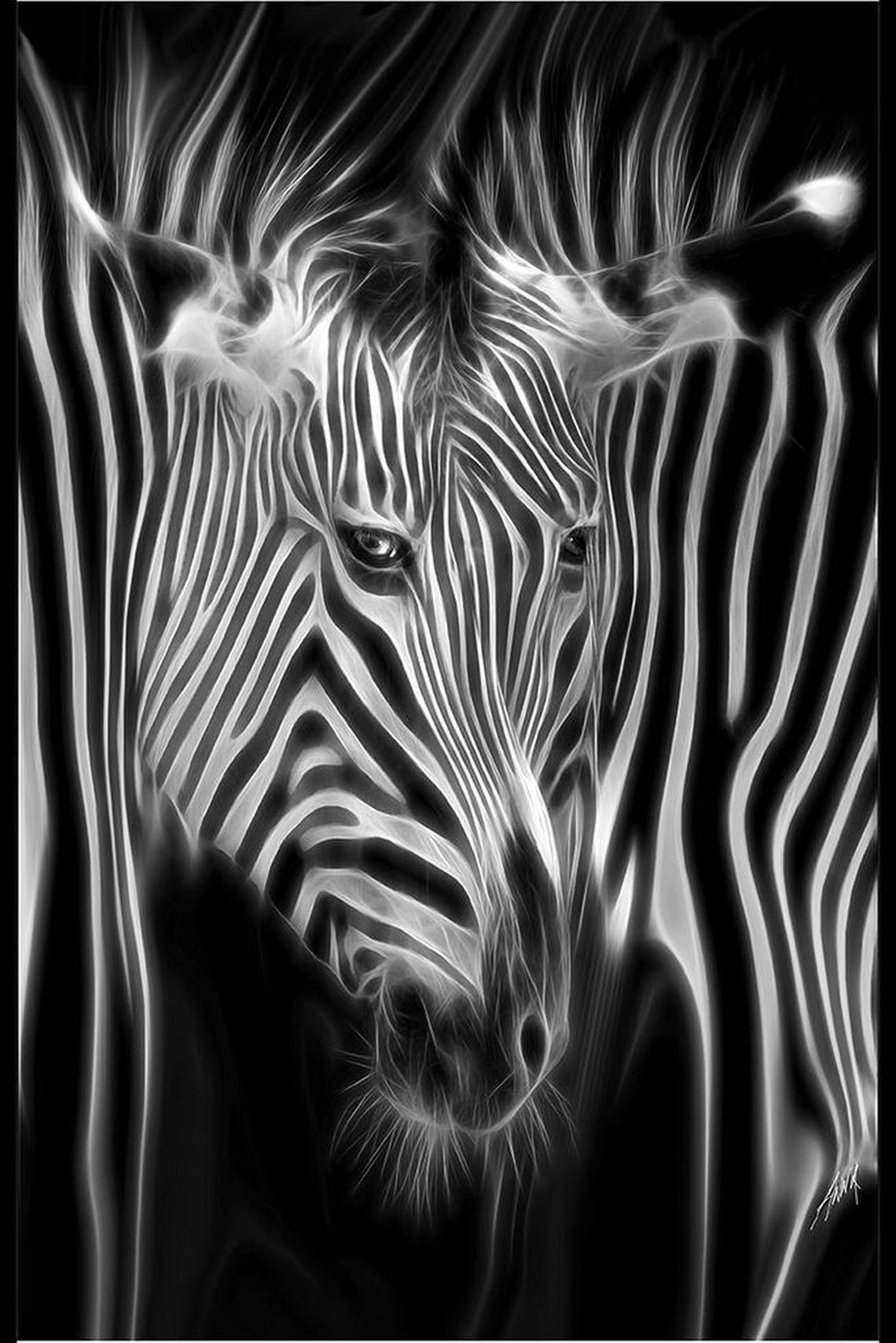 This photo by Anna Barber is part of the foto modesto exhibit.