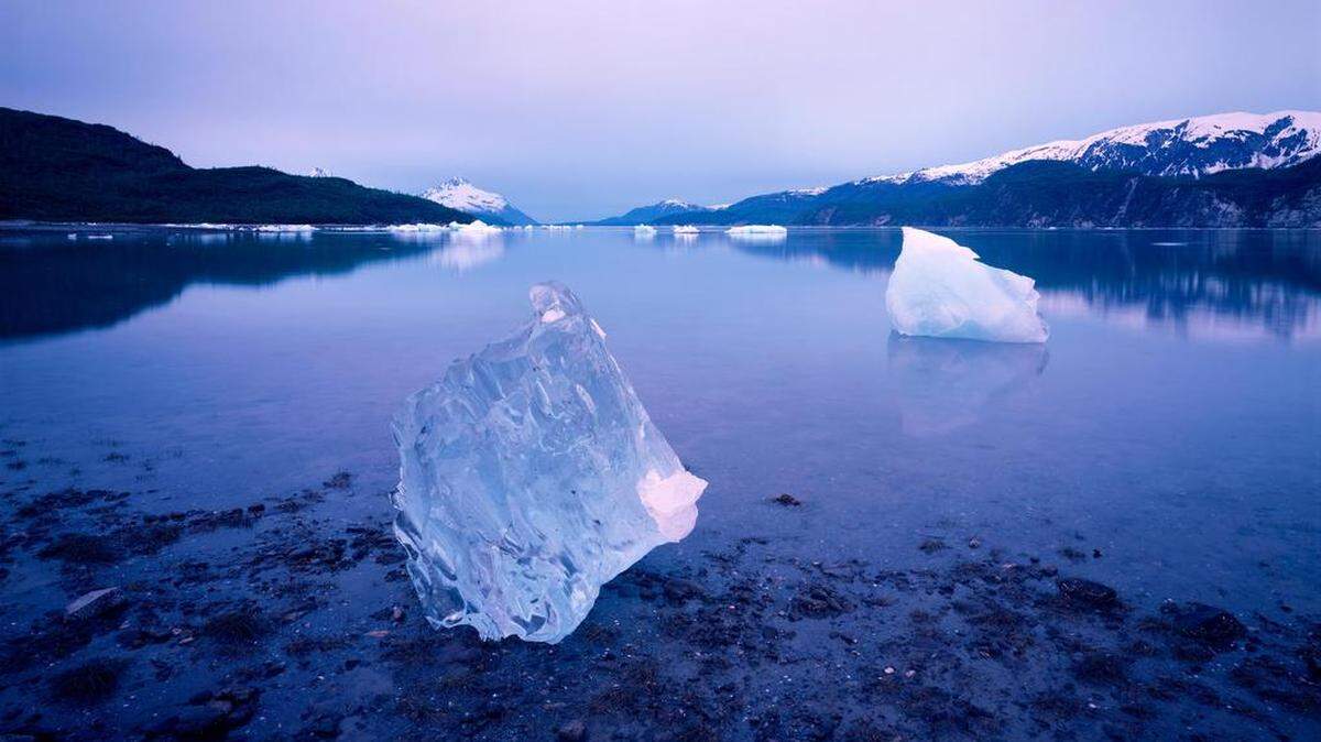 One of the images of Glacier Bay by guest artist QT Luong.