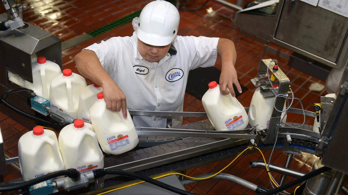 In this September 2015 photo, filler operator Angel Hailey works with gallons of milk at Crystal Creamery in Modesto, Calif.