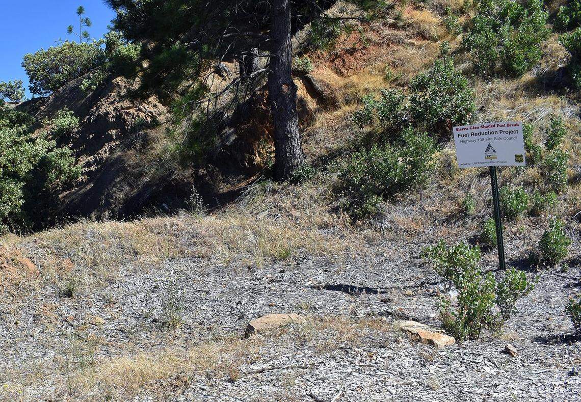 North of Sonora, Calif. a sign marks a shaded fuel break area, a fuel-reduction project of the Highway 108 Fire Safe Council. A shaded fuel break reduces so-called ladder fuels and opens the forest canopy.