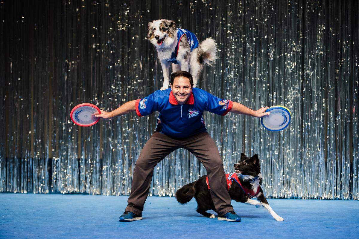 Stunt Dog Experience will return to the Gallo Center.