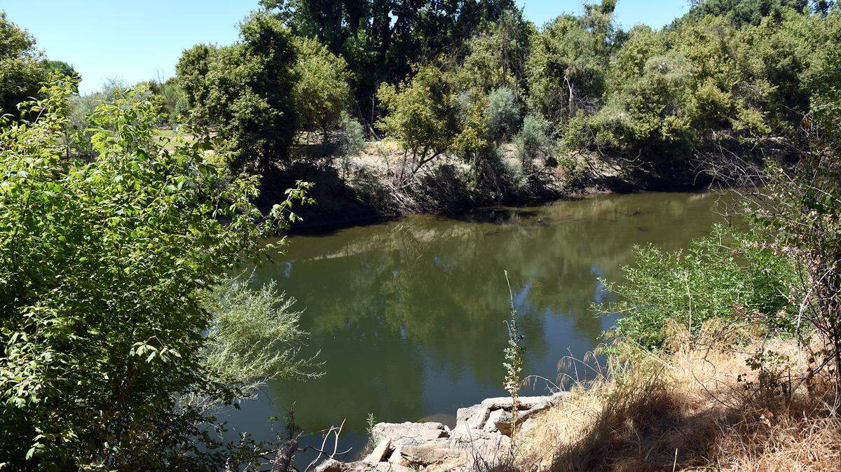 The Stanislaus River is pictured Wednesday afternoon July 11, 2018 at Caswell Memorial State Park in Ripon, Calif.