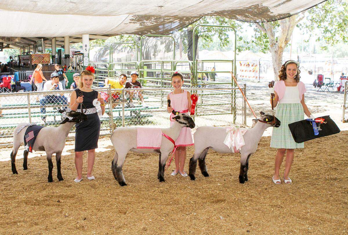 Stanislaus Co Fair 4H