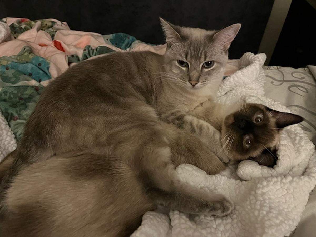 JoJo is a big sister to her fellow contest competitor, Lottie.