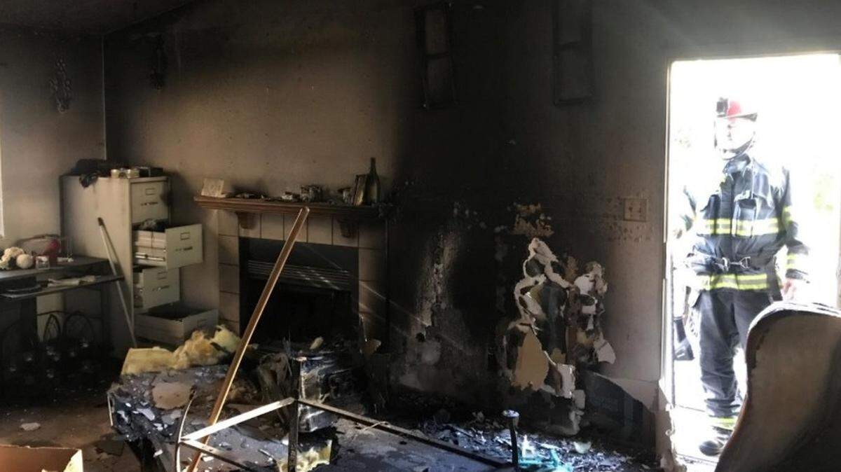 Two dogs died Tuesday afternoon when a living-room fire filled a house on Portobello Drive with smoke while the residents were out.