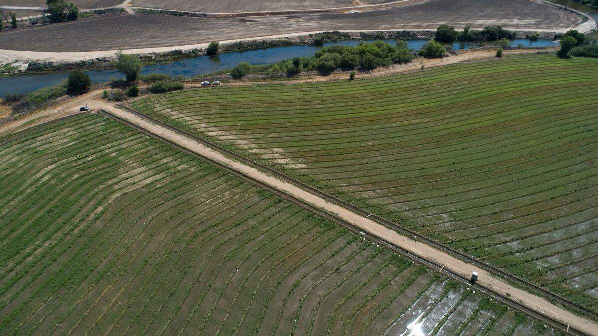 Tuolumne River passes through newly planted Dos Rios Ranch near Modesto, Calif., on Friday, May 7, 2021.