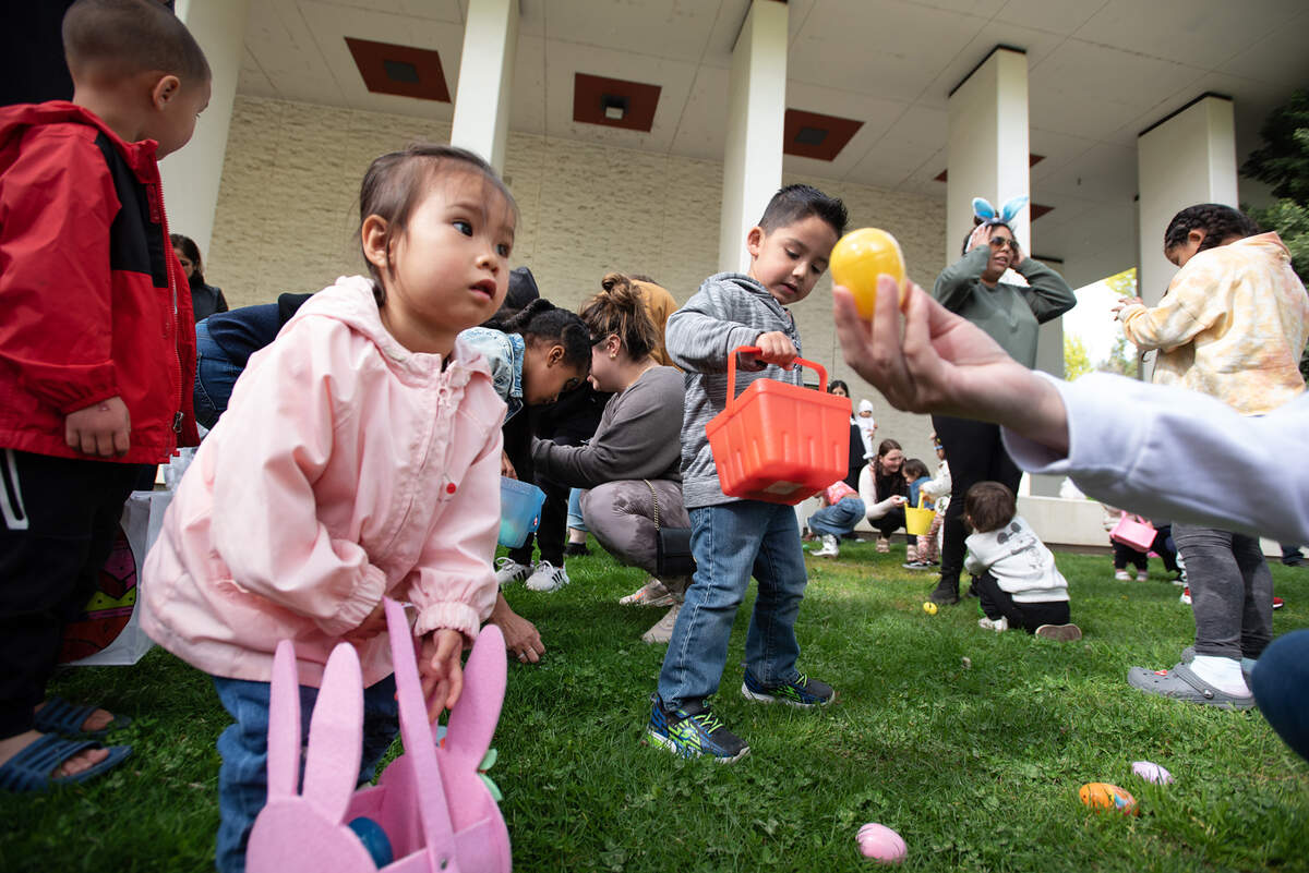 Kaylyna Hoang, 2, left, gathers Easter eggs with other children under 5 during an egg hunt at the farmers’ market in Modesto, Calif., Saturday, April 8, 2023.