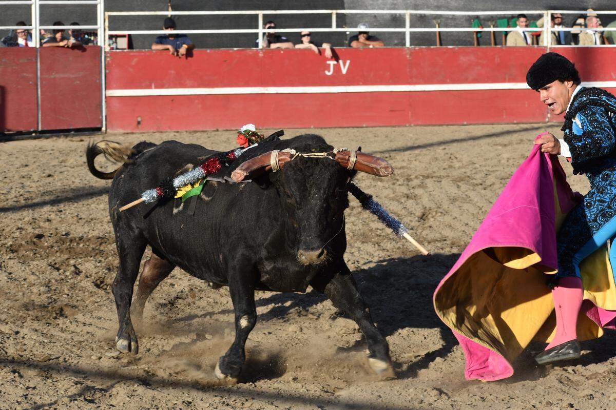 Bloodless bullfights, a Portuguese tradition, were held at the Stanislaus County Fair in Turlock, California, on Sunday night, July 7, 2024.