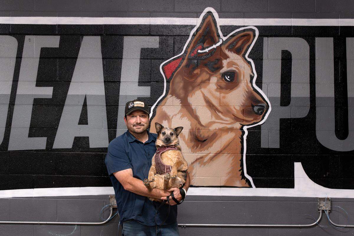 Owner Chris Teicheira holds his deaf dog, Banshee, at Deaf Puppy Comedy Club in Manteca, Calif., Wednesday, Sept. 20, 2023.