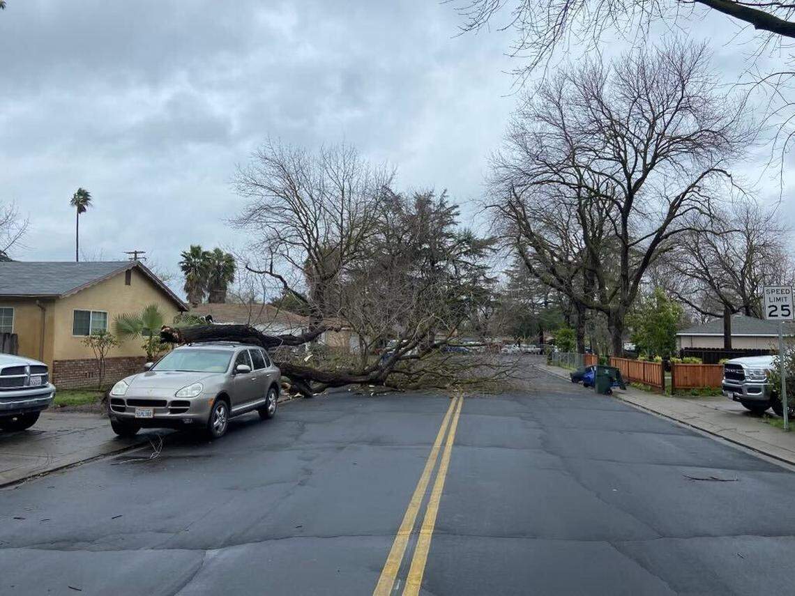 Modesto Fire Department Battalion 1 responded when a tree fell on March 14, 2023.