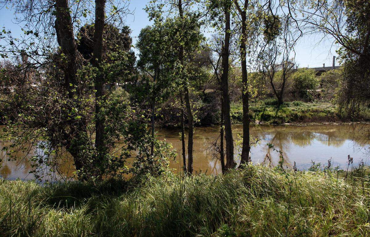 The Tuolumne River from Gateway parcel in Tuolumne River Regional Park in Modesto, Calif., on Tuesday, March 22, 2022.