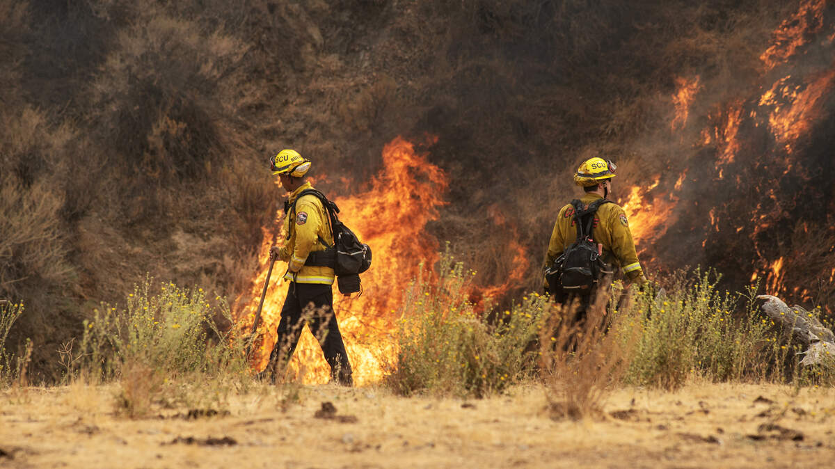 A Cal Fire crew sets back fires at SCU Lightning Complex fire along Del Puerto Canyon Road near Patterson, Calif., on Thursday, August 20, 2020.