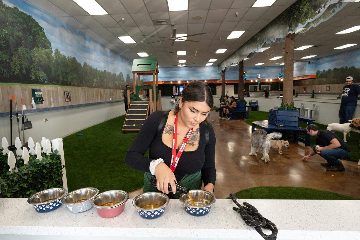 Zoe Huerta serves up dog beer (made of bone broth) at Bark indoor dog park and tap room in Modesto, Calif., Thursday, Oct. 19, 2023.