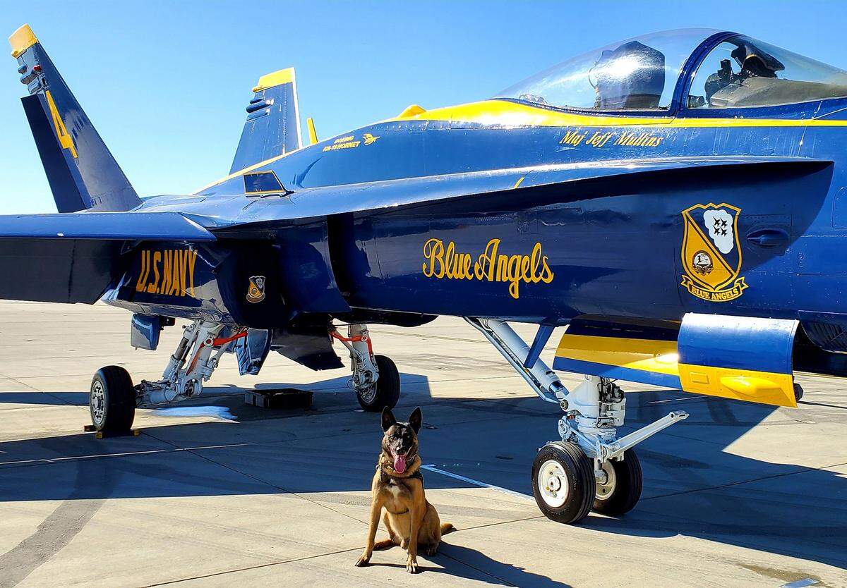 Pakito provided security for the Blue Angels