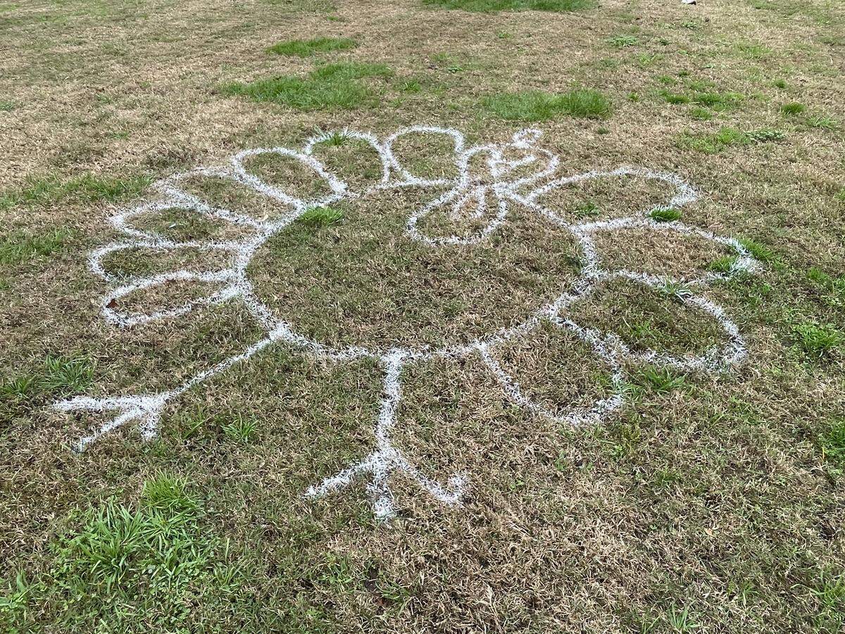 A chalk drawing greeted runners at the annual Turkey Trot in Tuolumne River Regional Park on Nov. 27, 2025. The event raises money for the track and cross country teams at Modesto Junior College.
