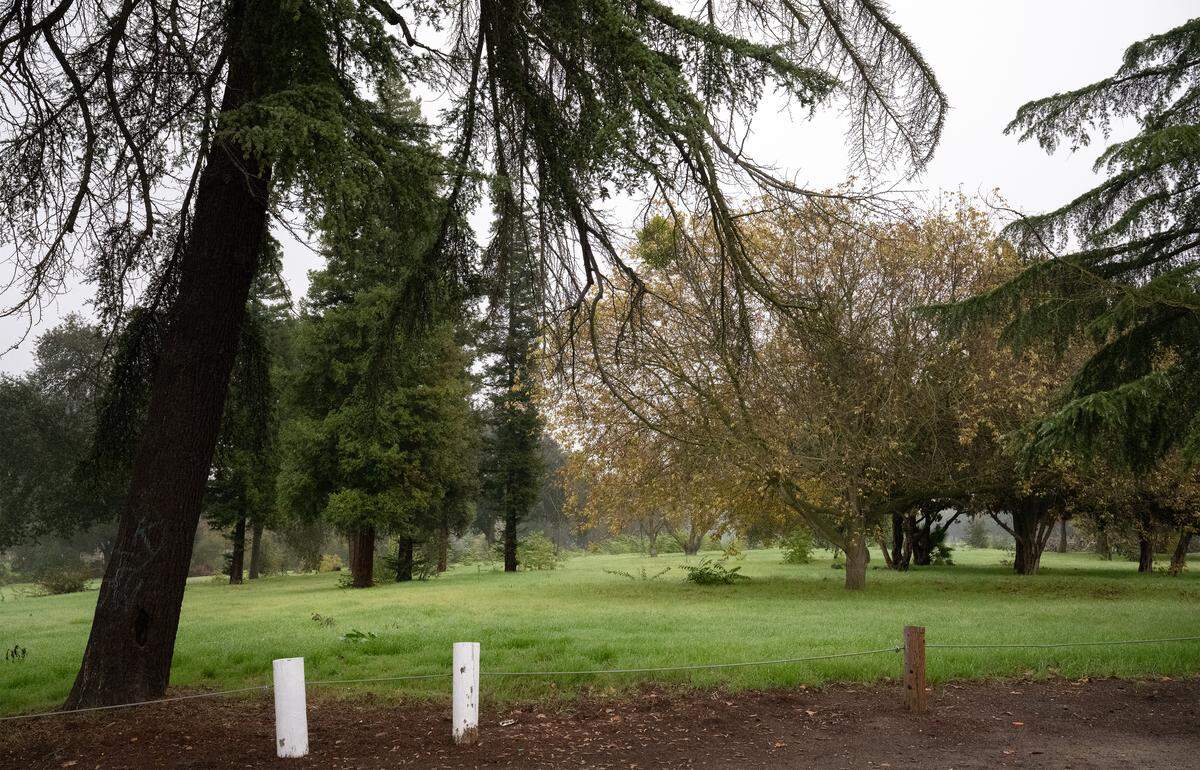 Open space at Tuolumne Regional Park in Modesto, Monday, Nov. 24, 2025. 