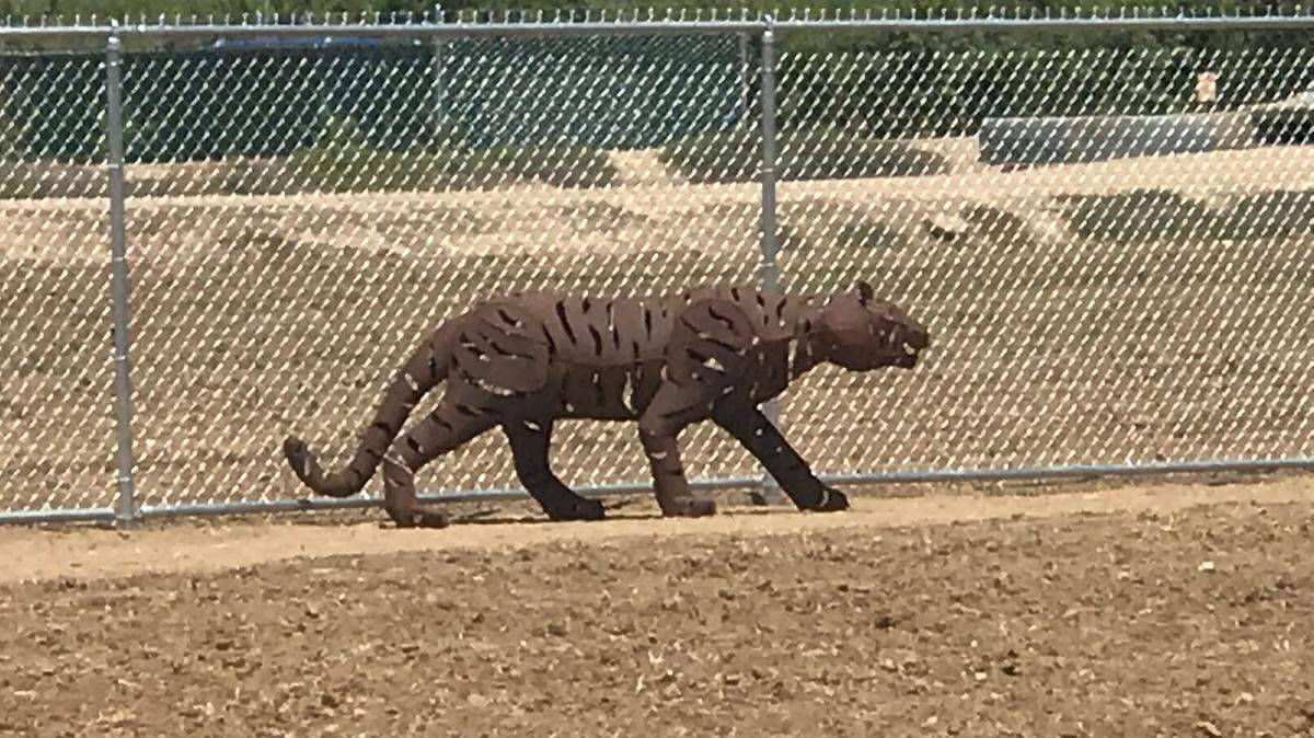 A metal leopard was one of two sculptures stolen from a garden for children behind Valley Children’s outpatient clinic in Modesto.