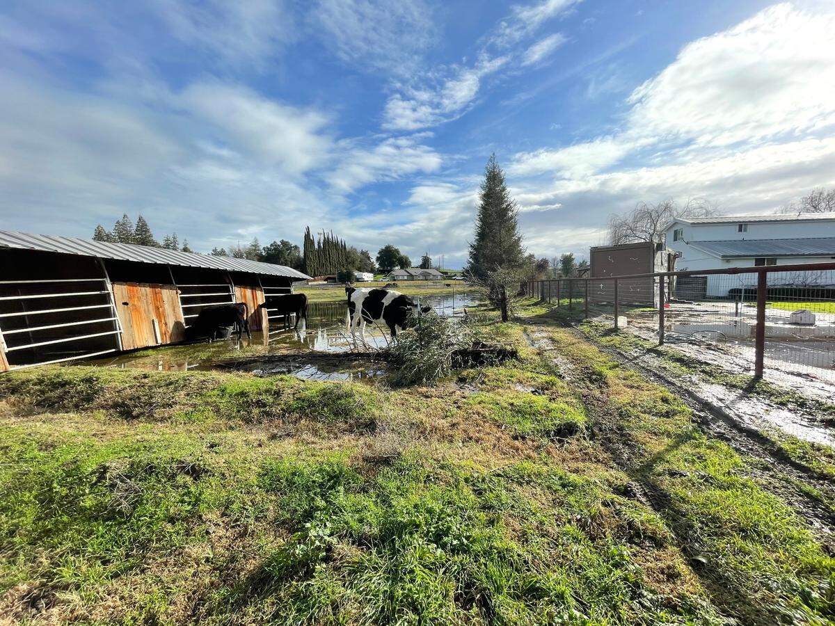 Sometime early Tuesday, Jan. 10, 2023, probably during the peak of a thunderstorm in the 4 a.m. hour, a horse stall took a trip in Oakdale, across a fence from one Lancaster Road property to another.