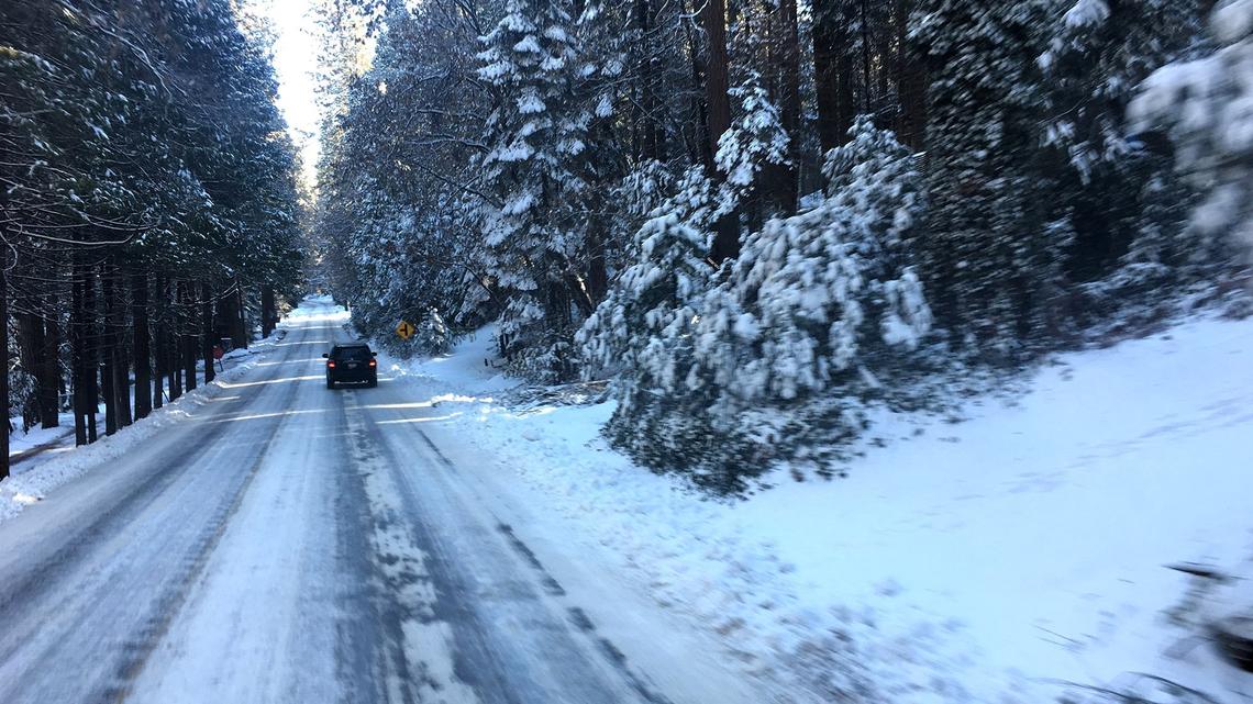 Snow is pictured on the road and trees on Hwy 108 near Twain Harte Calif. Friday morning February 23, 2018.