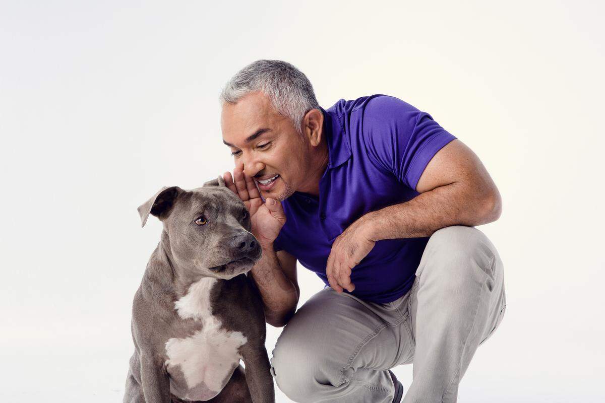 Cesar Millan returns to the Gallo Center in Modesto.