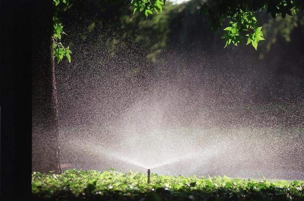 watering