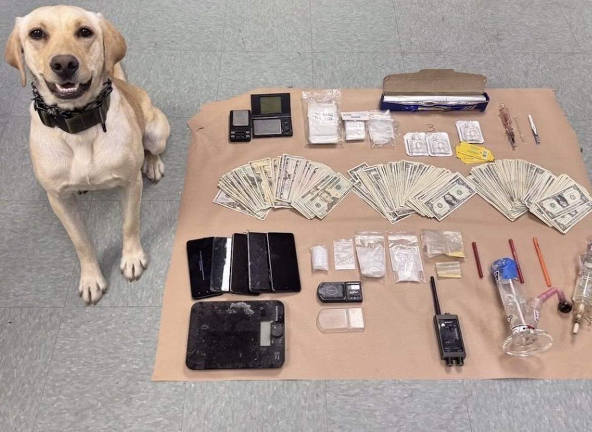 A Tuolumne County Sheriff’s Office K-9 sits beside fentanyl, methamphetamine, cash, scales, phones and drug paraphernalia seized during a March 20, 2026 search warrant in Sonora, authorities said.