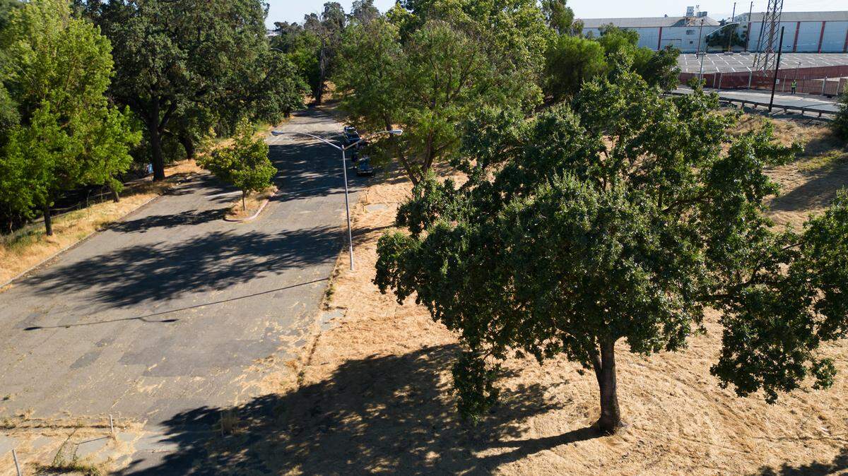 Beard Brook Park in Modesto, Calif., Friday, July 14, 2023.