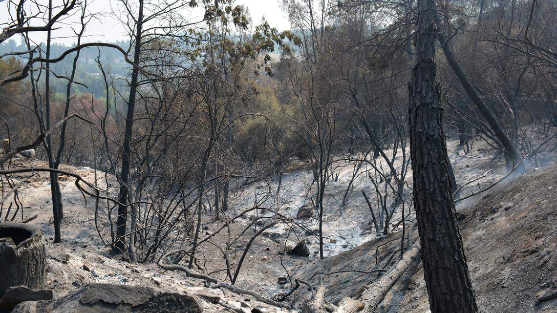 Fire-scorched land smolders Aug. 27, 2021, where homes once stood in the area of Golden Dove Lane. At least 14 homes were destroyed by the Washington Fire, a Cal Fire official said.