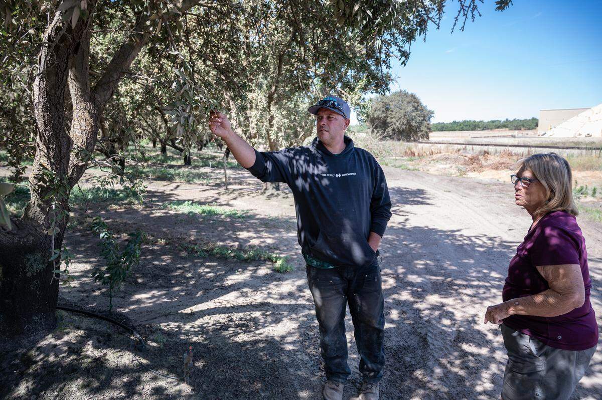 Orchard manager Derren Beland and almond owner Margo Cushing, right, look at the accumulation of grain dust from a Sierra Northern Railway and Central Valley Ag Group grain transfer station located adjacent to the property east of Oakdale, Calif., on Thursday, July 8, 2021. Neighbors say the railroad built the grain operation without obtaining the proper permits, is creating a public nuisance and is causing environmental damage to the area.