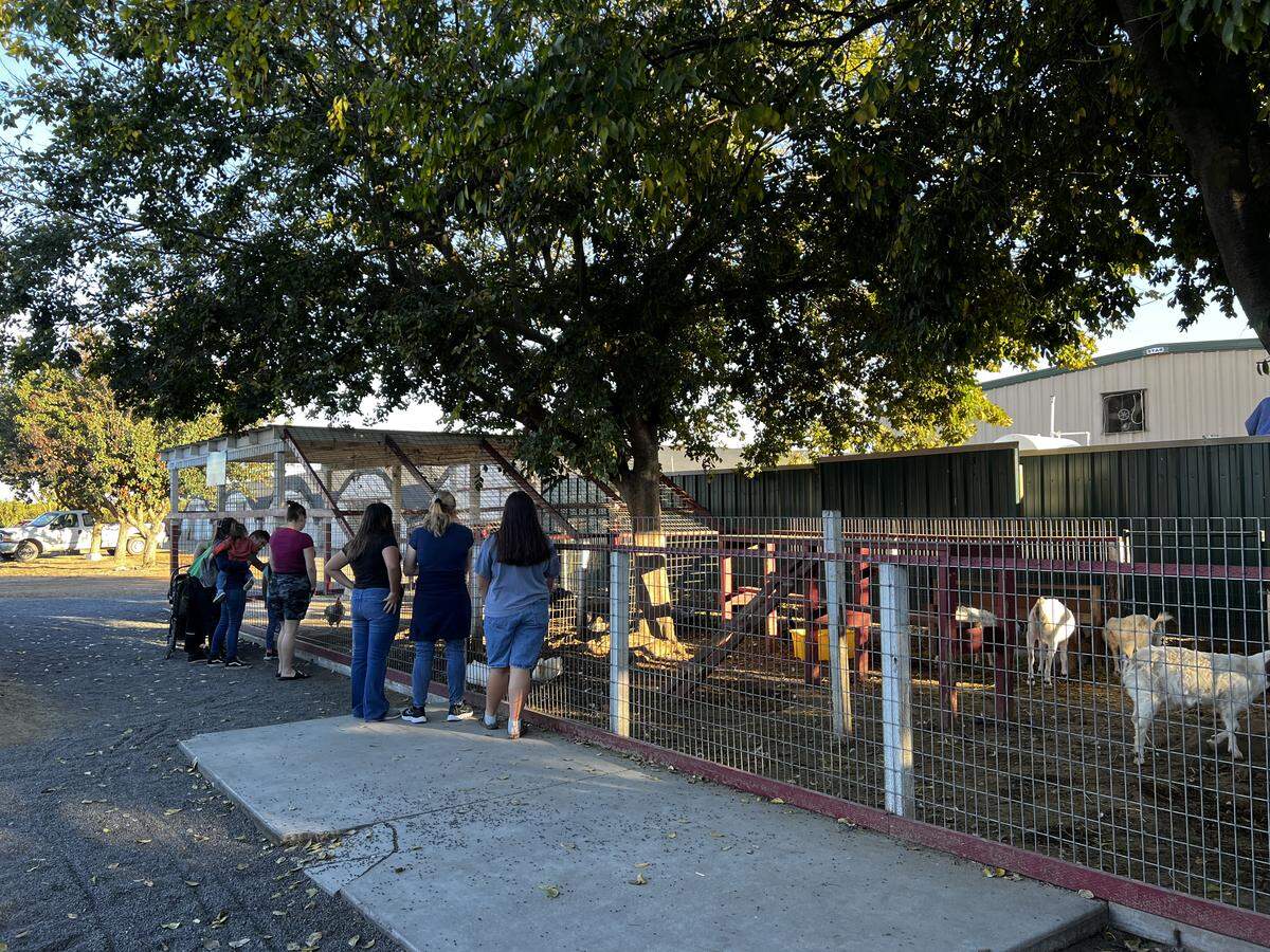 The Resendiz Family Fruit Barn features a small zoo with goats, chickens, peacocks and turtles, which were free to view.