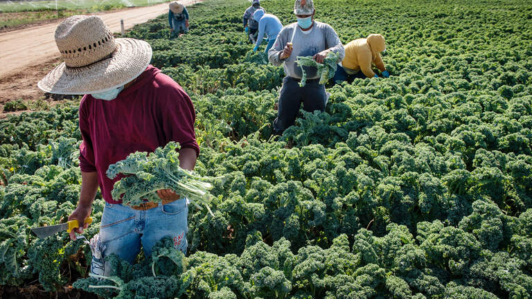 Stanislaus creates Farm Worker Advisory Committee. Will members feel free to air concerns?