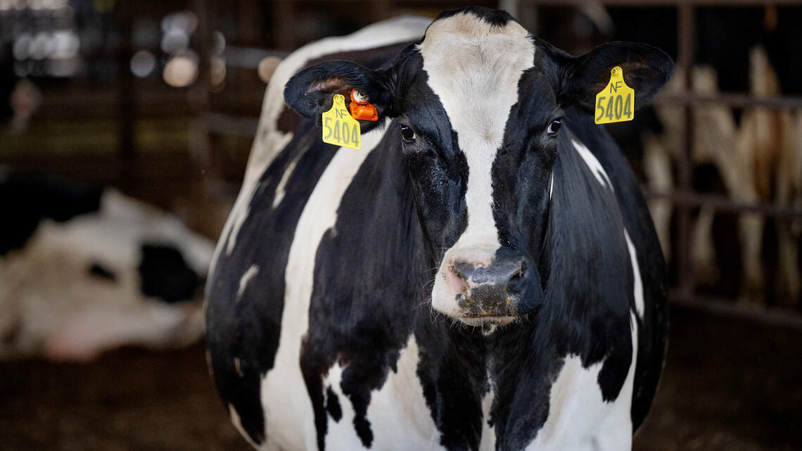 Stanislaus ag income hits $3.33 billion. Farmworkers get a share of the credit