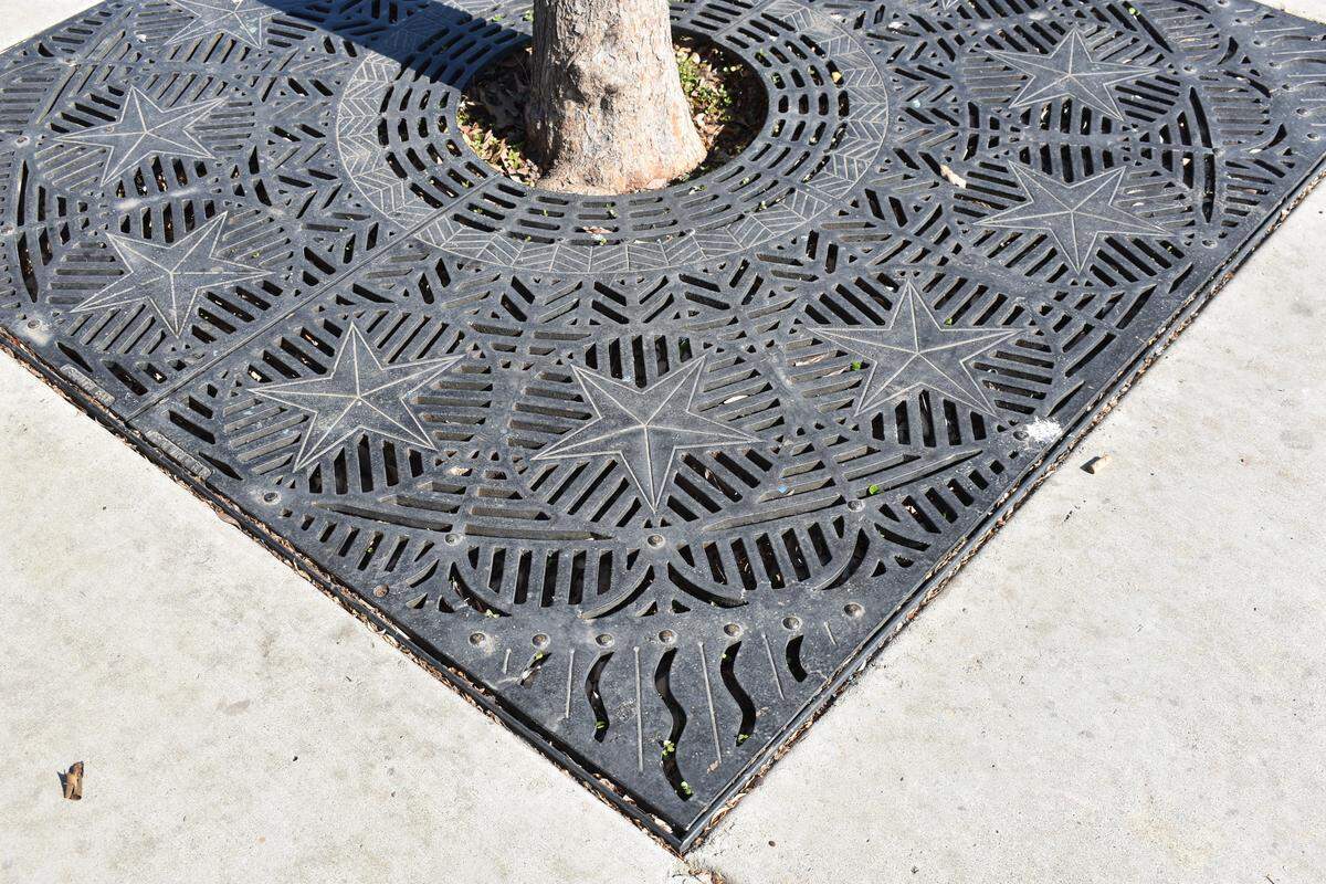 The star theme of the playground is reflected in the grates around tree trunks in Freedom Park in Modesto