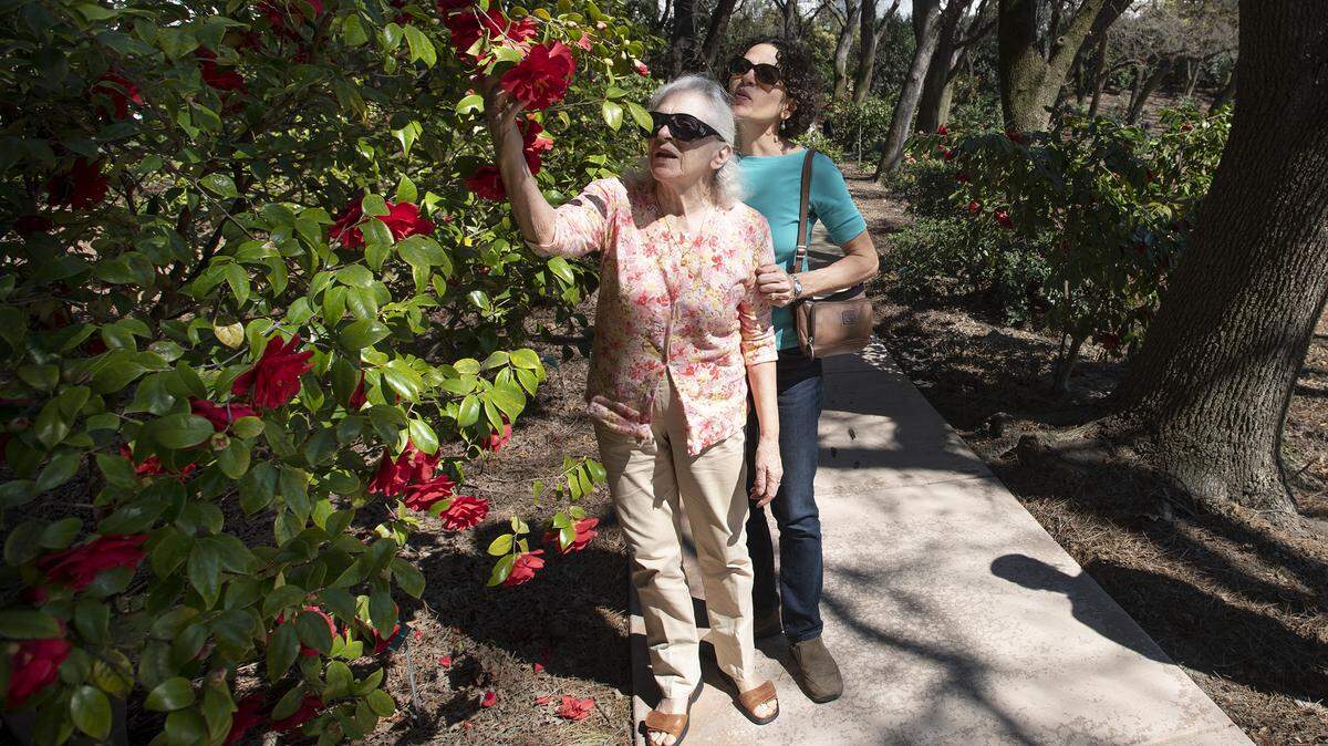 Margaret Baumgratz, right, and her mother Vera Baumgratz look at Yosemite camellia flowers at the private camellia garden outside Modesto Camellia Society Show at Gallo Winery in Modesto, Calif., Saturday, March 16, 2019. 