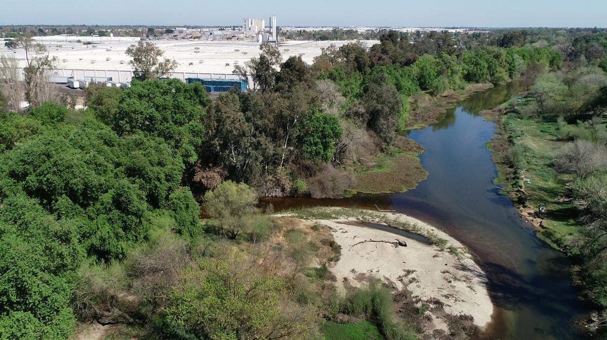The city of Modesto is working on a land swap with Gallo Winery. The city would trade the 12-acre Beard Brook Park for a 12-acre, half-mile strip of open land Gallo owns along the Tuolumne River between Dry Creek and Santa Cruz Avenue. Photographed looking east where Dry Creek flows into the Tuolumne River in Modesto, Calif., on Tuesday, March 22, 2022.