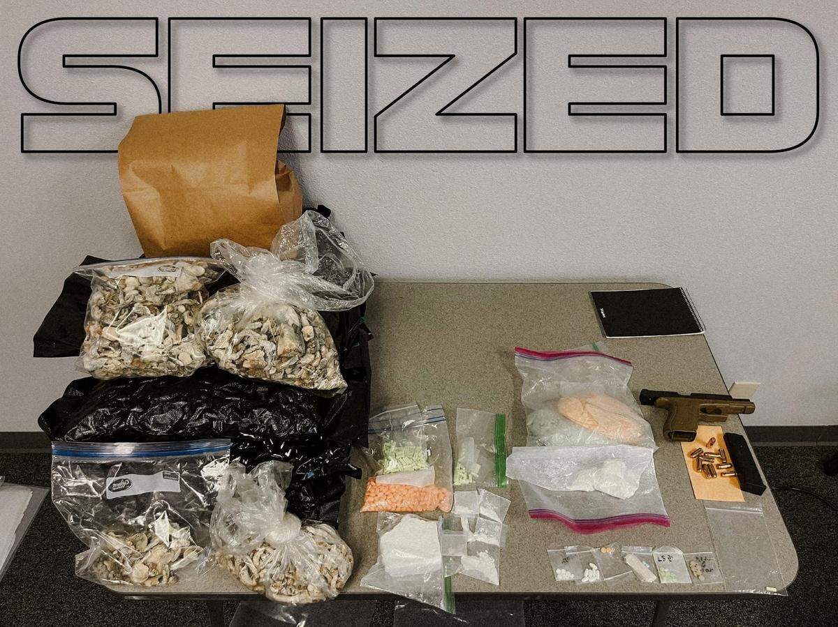 Bags of psilocybin mushrooms, prescription pills, cocaine and a Glock .40-caliber handgun were seized during multiple search warrants served in Turlock in October, police said.