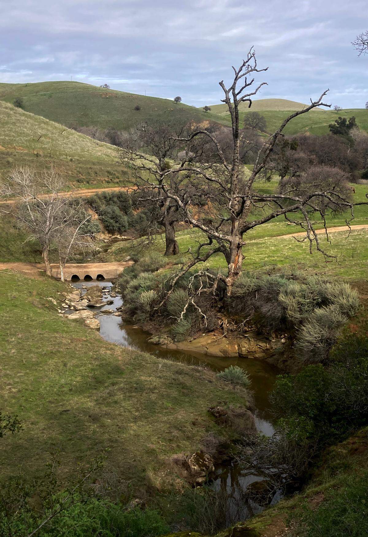 Round Valley Regional Preserve in Brentwood.