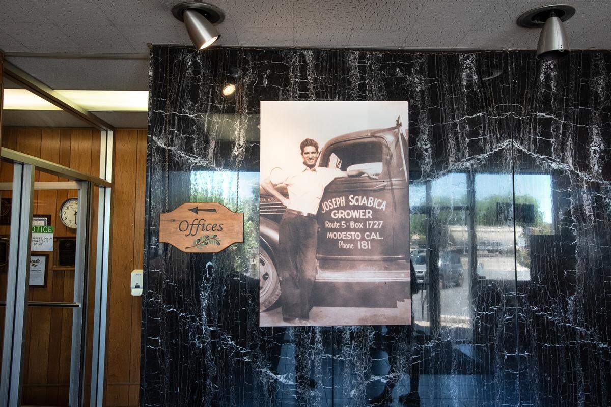 Sciabica’s California Olive Oil, the Modesto-based olive oil maker, has started brewing craft beer out of its Yosemite Boulevard headquarters. Track 424 Brewery plans to sell directly to customers later this year. Photographed in Modesto, Calif., on Friday, July 22, 2022.