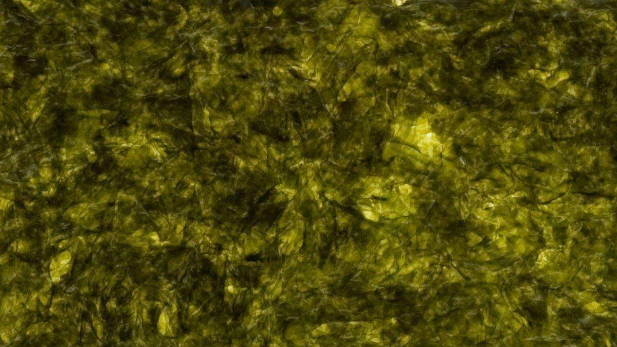 FOOD SEAWEED 2 TB