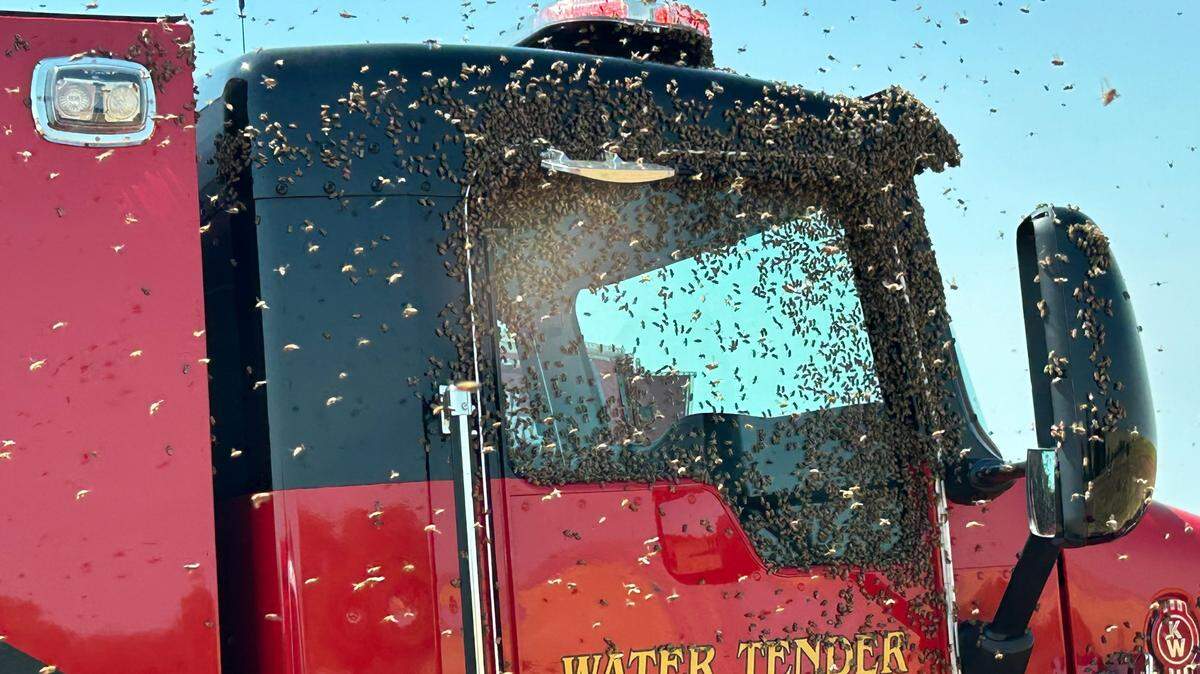 Bees settle on a water tender when fire crews were dispatched to a vegetation fire in east Stanislaus County. Bee boxes had caught fire, causing their occupants to swarm.