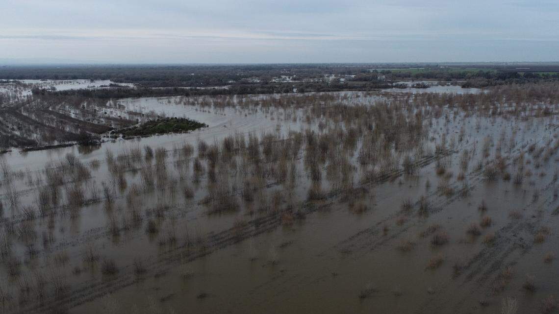 Dos Rios Ranch Preserve near Grayson in recently flooded during high flows on the San Joaquin River — just as planned. The floodwater nourished wildlife habitat and refilled aquifers, and downstream communities were protected.