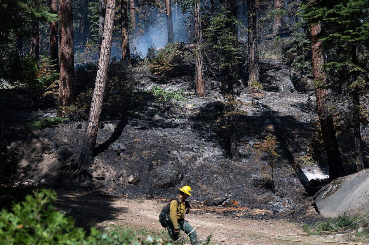Eldorado National Forest firefighters conduct a prescribed burn in the Stanislaus National Forest in Calif., on Friday, May 20, 2022.