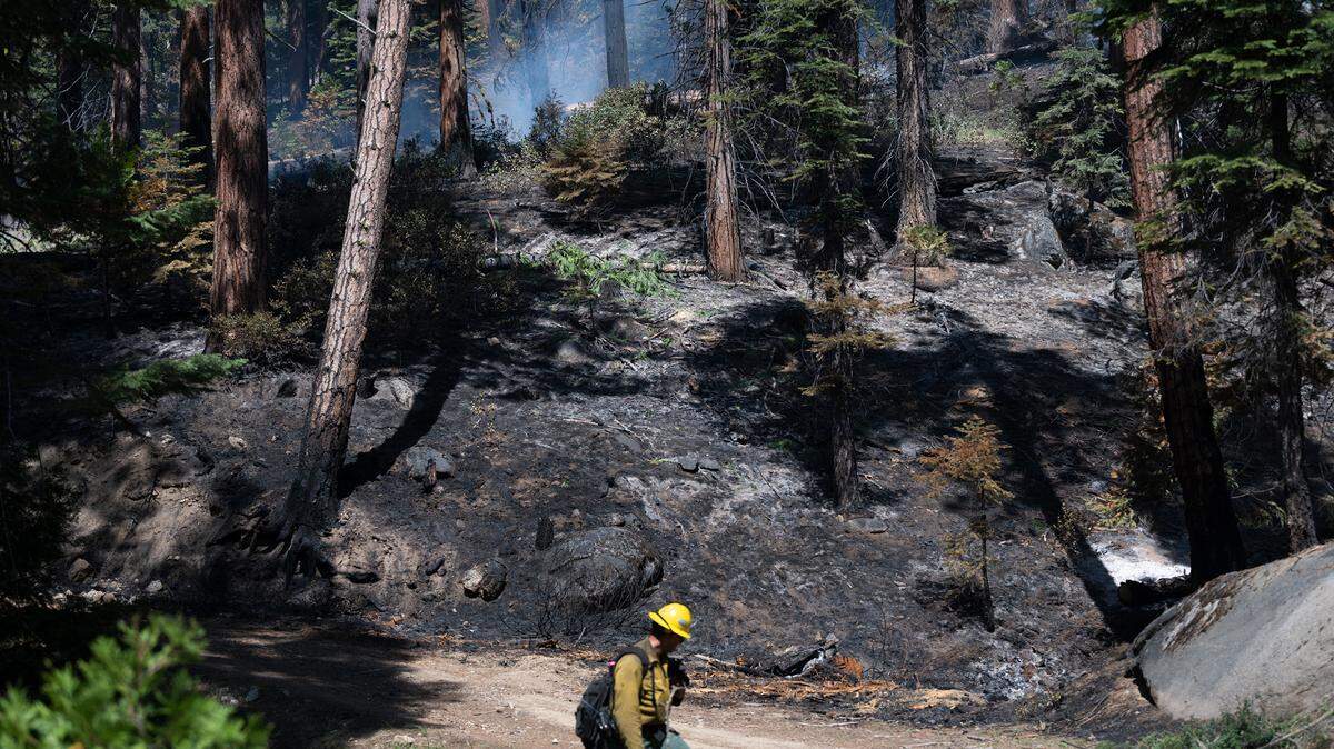 Eldorado National Forest firefighters conduct a prescribed burn in the Stanislaus National Forest in Calif., on Friday, May 20, 2022.