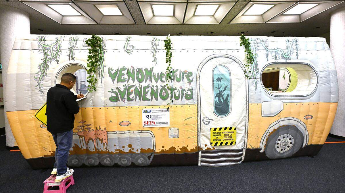El investigador Jaime Flores observa a los participantes en la sala de escape VENOMventure, en la Biblioteca de Modesto, California, el sábado 24 de junio de 2023.