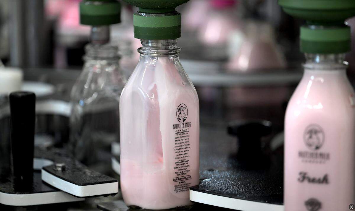 Strawberry flavored milk is filled into glass bottles on the production line at Nutcher Milk Company in Modesto, Thursday, June 5, 2025. 