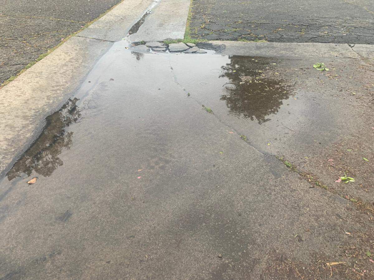 Raindrops fall in a puddle on Quincy Road in Turlock. March 28, 2022