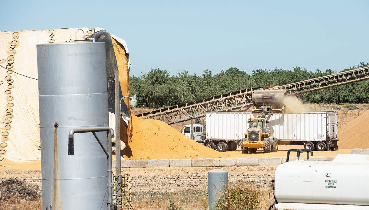 Sierra Northern Railway and Central Valley Ag Group are operating a grain transfer station east of Oakdale, Calif., on Thursday, July 8, 2021.